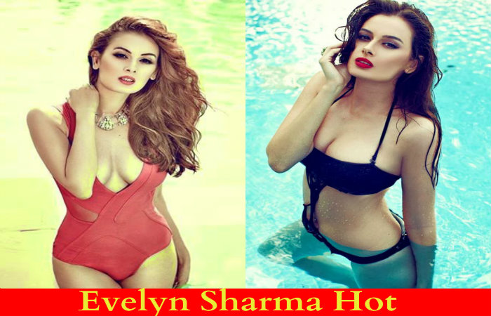 Evelyn-Sharma-Hot