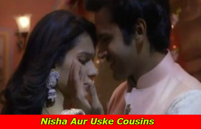Nisha Aur Uske Cousins Written Update
