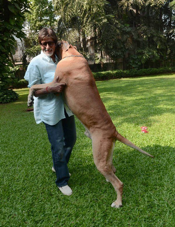 Amitabh Bachchan Dog