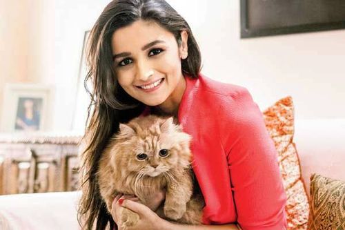 alia-bhatt-with-cat